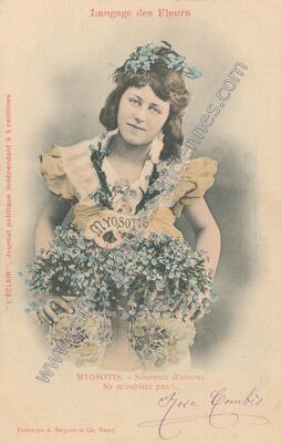 Carte postale ancienne MYOSOTIS. - Souvenir d'amour. Ne m'oubliez pas !... — Langage des Fleurs — Fantaisie