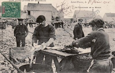 Carte postale ancienne St Pierre et Miquelon — Non Localisée (Saint-Pierre-et-Miquelon)