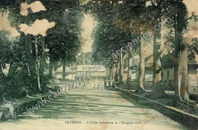 Carte postale ancienne L'Allée intérieure de l'Hospice civil — Cayenne (Guyane)