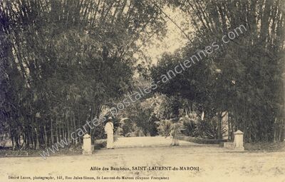 Carte postale ancienne St Laurent du Maroni — Cayenne (Guyane)