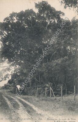 Carte postale ancienne Voh — Temala (Nouvelle-Calédonie)