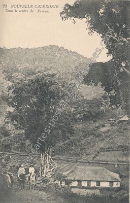 Carte postale ancienne La Foa. Dans le centre de Farino — Farino (Nouvelle-Calédonie)