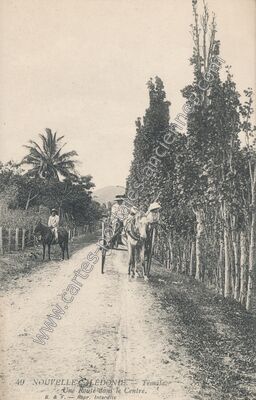 Carte postale ancienne Une Route dans le Centre — Temala (Nouvelle-Calédonie)
