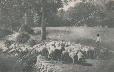 Carte postale ancienne Berger — Non Localisée (Aveyron)