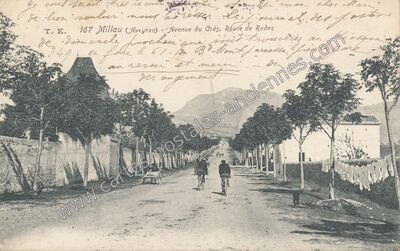 Carte postale ancienne Avenue du Crès, Route de Rodez — Millau (Aveyron)