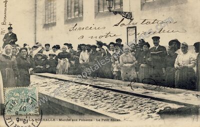 Carte postale ancienne Marché aux Poissons - Le Petit Encan — La Rochelle (Charente-Maritime)
