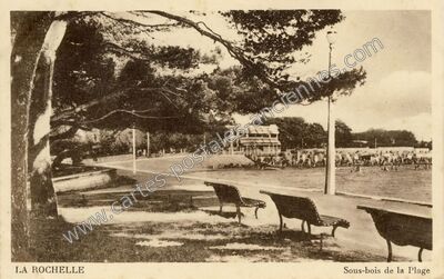 Carte postale ancienne Sous-bois de la Plage — La Rochelle (Charente-Maritime)