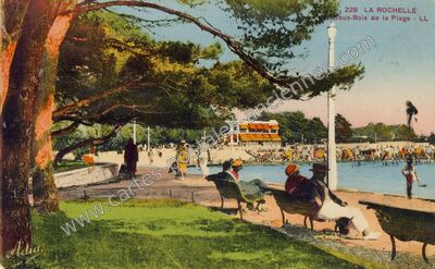 Carte postale ancienne Sous-Bois de la Plage — La Rochelle (Charente-Maritime)