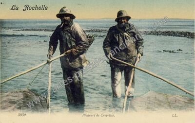 Carte postale ancienne Pêcheurs de Crevettes — La Rochelle (Charente-Maritime)