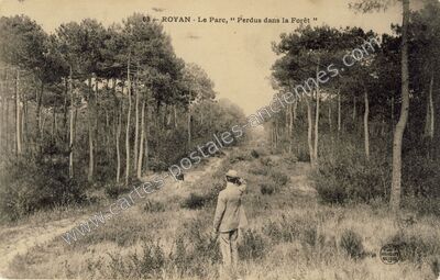 Carte postale ancienne Le Parc, " Perdus dans la Forêt — Royan (Charente-Maritime)