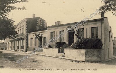 Carte postale ancienne Côte d'Argent. - Avenue Michelet — Saint-Georges-de-Didonne (Charente-Maritime)