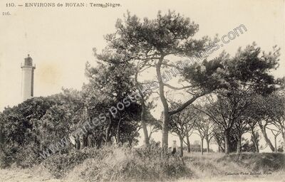 Carte postale ancienne Terre Negre — Saint-Palais-sur-Mer (Charente-Maritime)