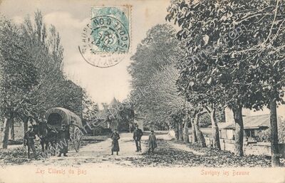 Carte postale ancienne Les Tilleuls du Bas — Savigny-lès-Beaune (Côte-d'Or)