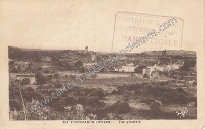 Carte postale ancienne Vue générale — Puéchabon (Hérault)