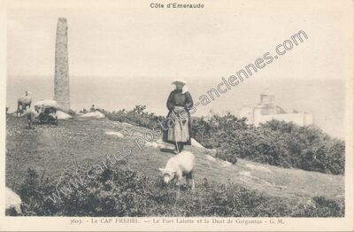 Carte postale ancienne Cap Frehel — Fréhel (Côtes-d'Armor)