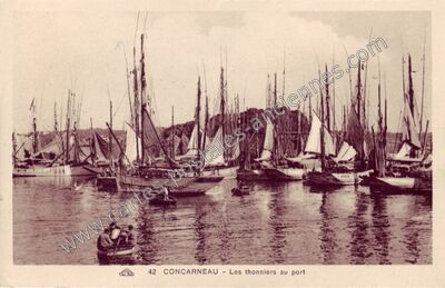 Carte postale ancienne Les thonniers au port — Concarneau (Finistère)