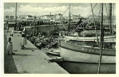 Carte postale ancienne Guilvinec — Guilvinec (Finistère)