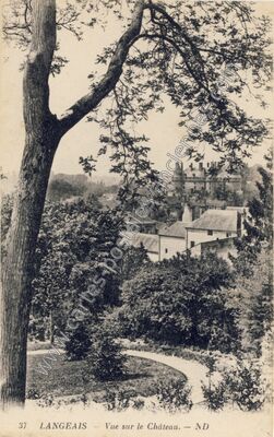 Carte postale ancienne Vue sur le Château — Langeais (Indre-et-Loire)