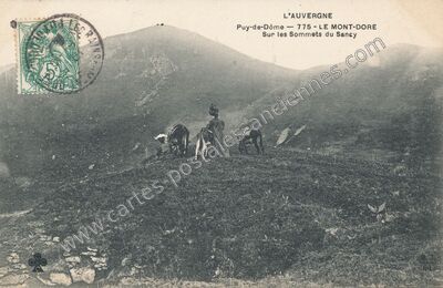 Carte postale ancienne Sur les Sommets du Sancy — Mont-Dore (Puy-de-Dôme)