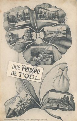 Carte postale ancienne Une Pensée — Toul (Meurthe-et-Moselle)
