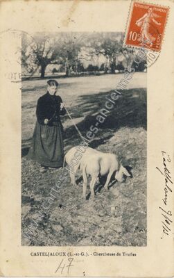 Carte postale ancienne Chercheuse de Truffes — Casteljaloux (Lot-et-Garonne)