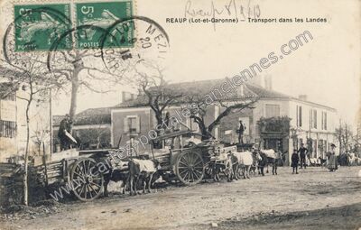 Carte postale ancienne Réaup-Lisse
