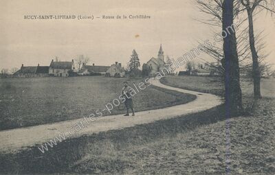 Carte postale ancienne Route de la Corbillière — Bucy-Saint-Liphard (Loiret)