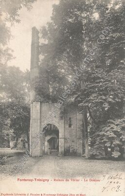 Carte postale ancienne Ruines du Vivier - Le Donjon — Fontenay-Trésigny (Seine-et-Marne)