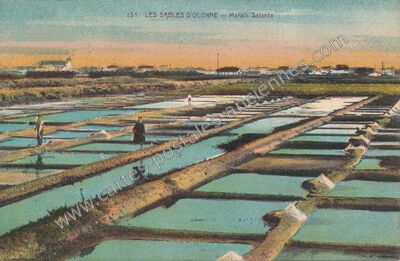 Carte postale ancienne Marais Salants — Les Sables-d'Olonne (Vendée)
