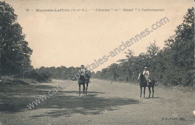 Carte postale ancienne Libanius " et " Génial " à l'entraînement — Maisons-Laffitte (Yvelines)