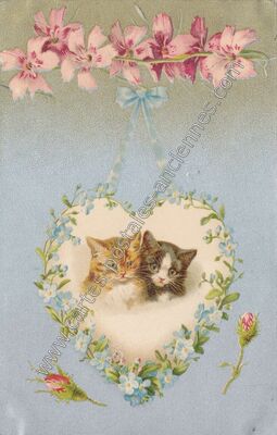 Carte postale ancienne Chats — Chats — Fantaisie